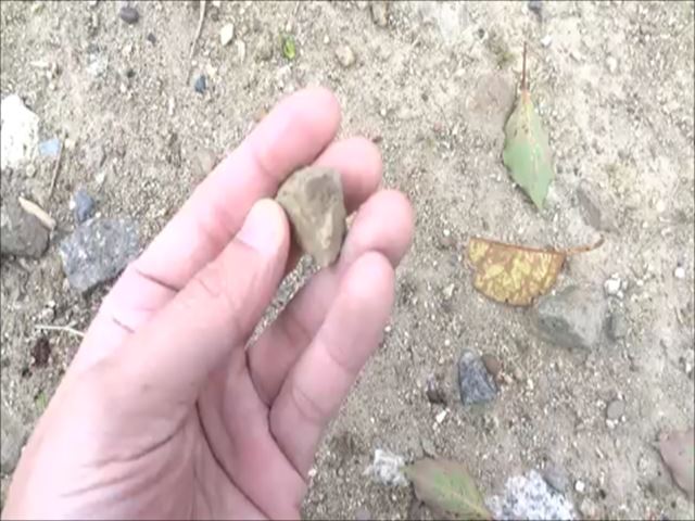 石を見つける