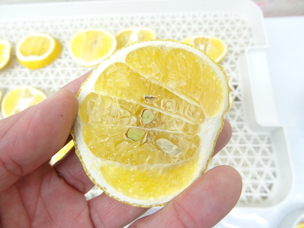 フルーツディハイドレーター　レモン乾燥　6時間後